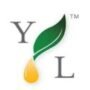 young living españa