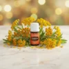 Young Living Helichrysum