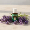 Young Living Mister