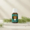 Young Living Pine
