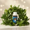 Young Living gaulteria