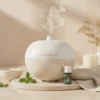 AromaGlobe Young Living