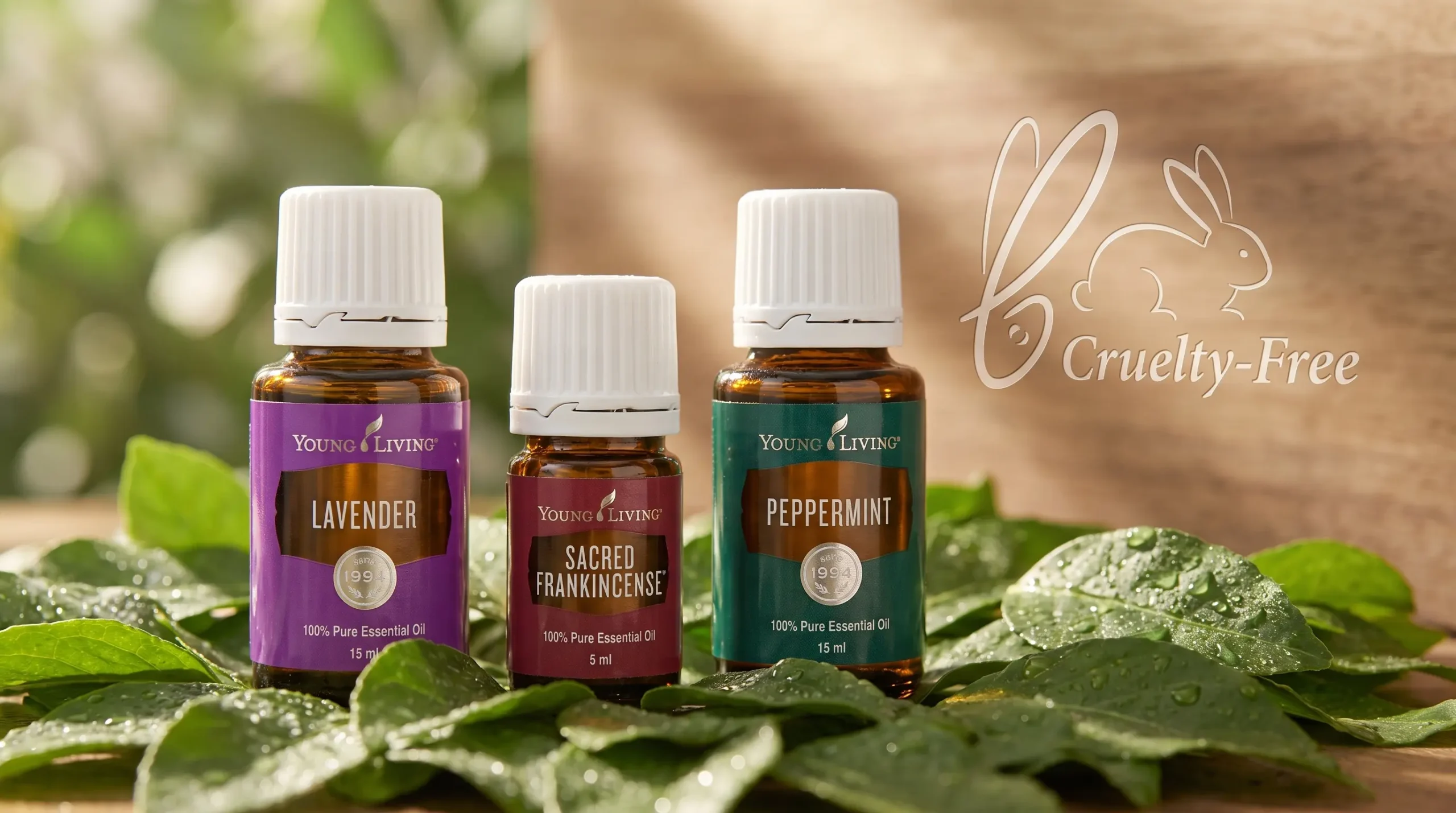 Colección de aceites de Young Living veganos y cruelty free sobre hojas botánicas frescas